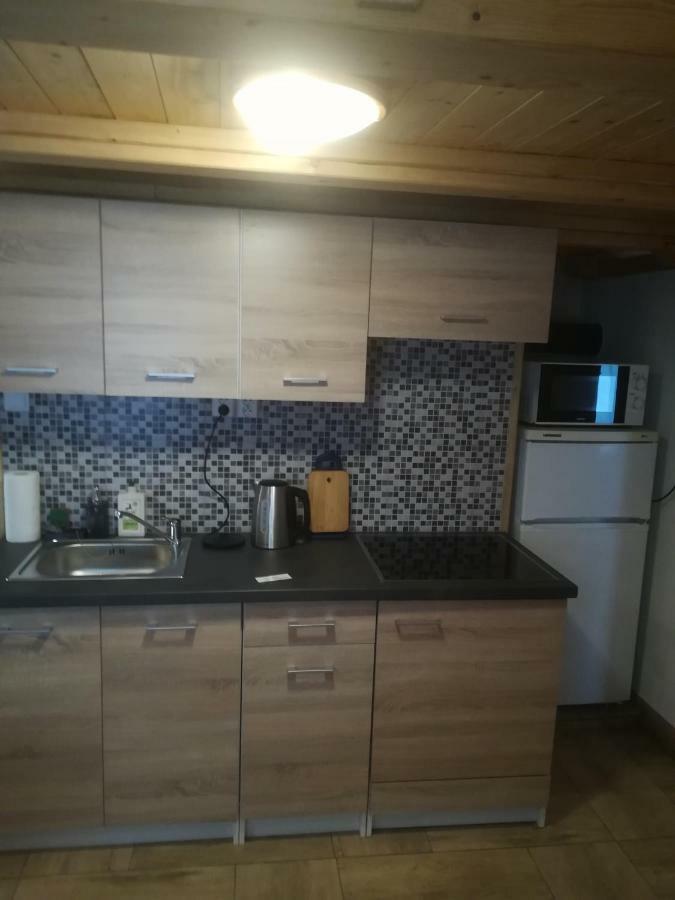 Apartman Pod Vezi I Česká Kamenice 外观 照片